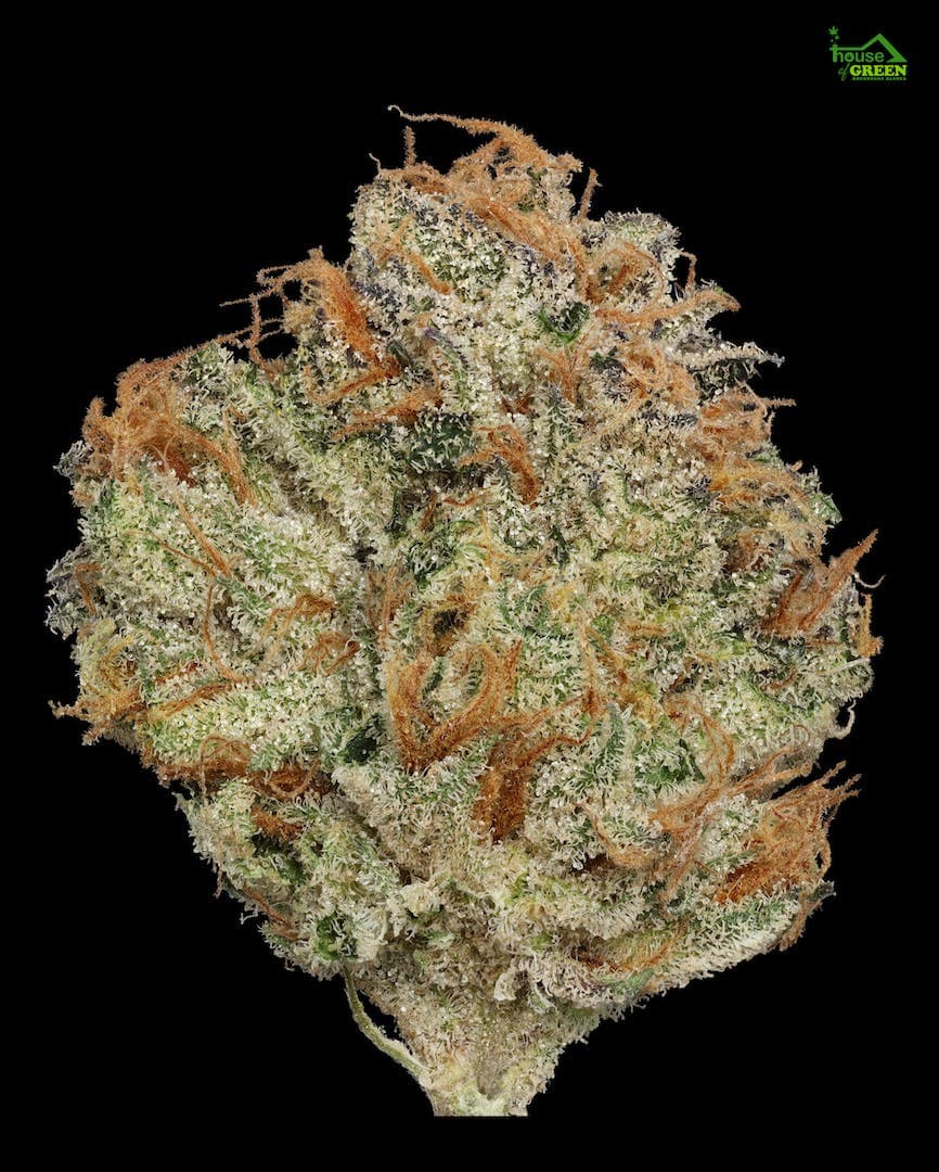 Birthday cAKe 14g Flower