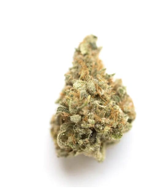 Grape Pie - Hybrid - 31% THC