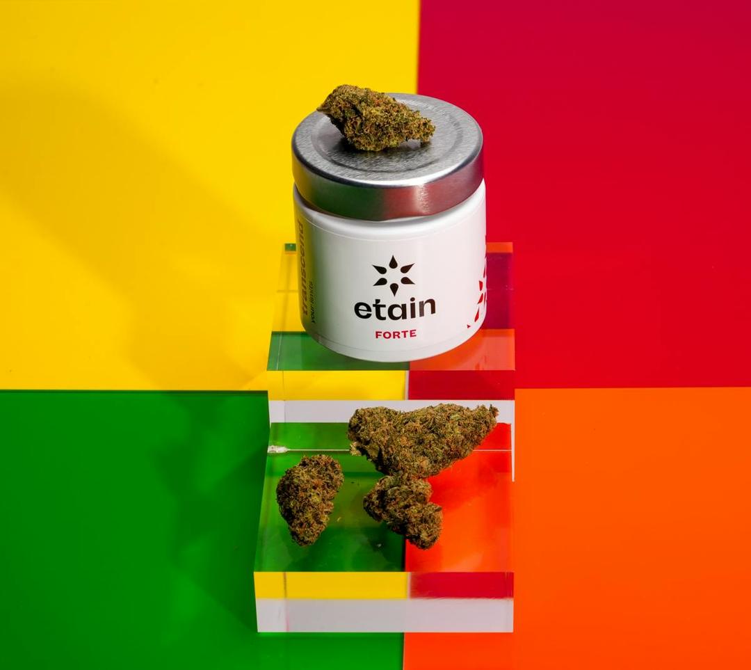 Forte Whole Flower - Zkittles (ZKS)
