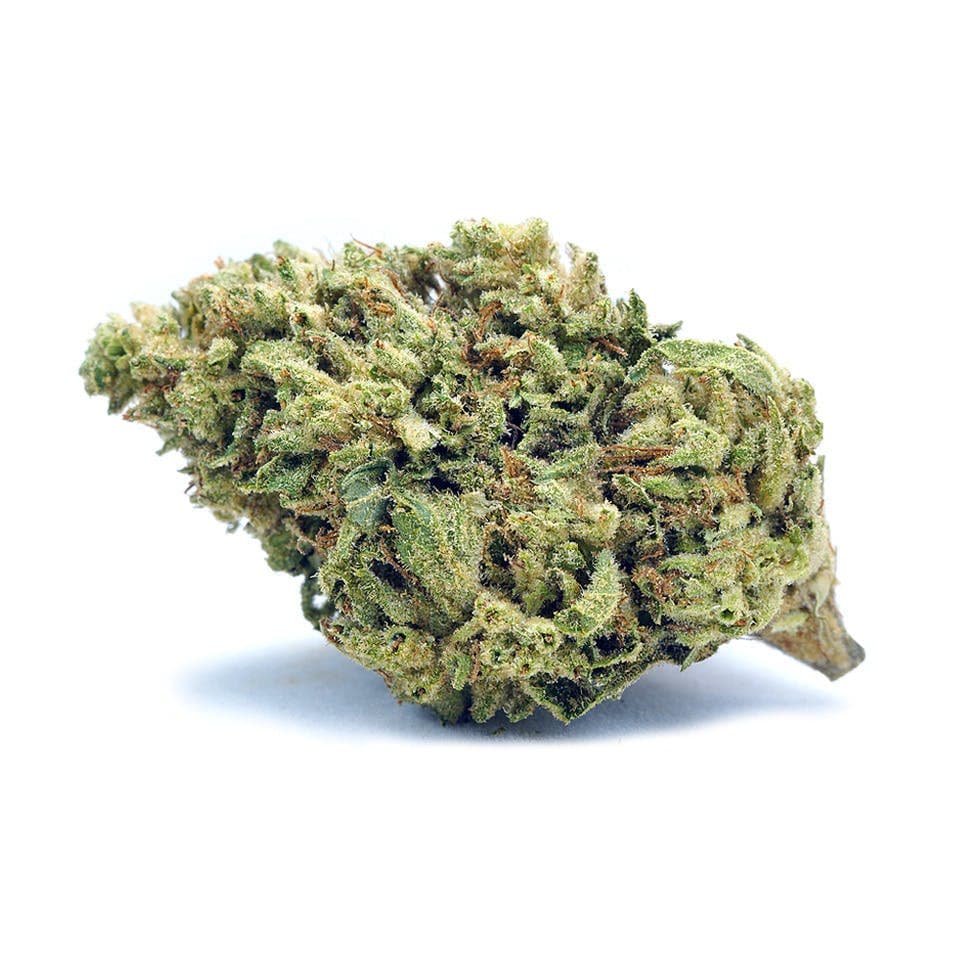 Jelly Rancher | Greenhouse 14g
