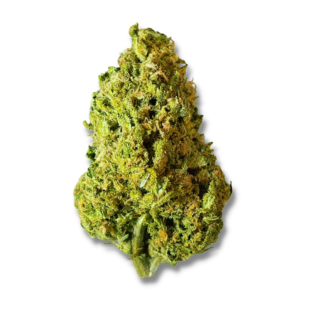 BLACK - Laughing Buddha (S) - 3.5g