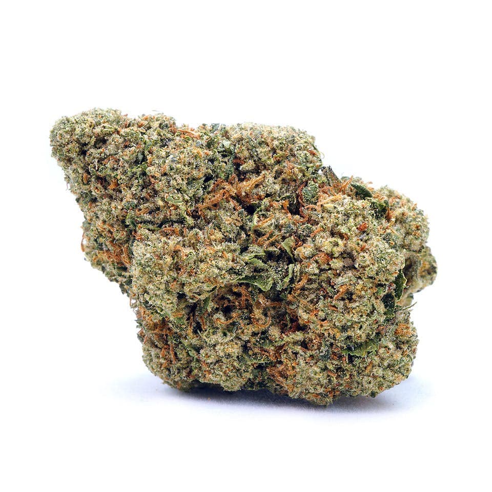 Biscotti OG | Greenhouse 14g