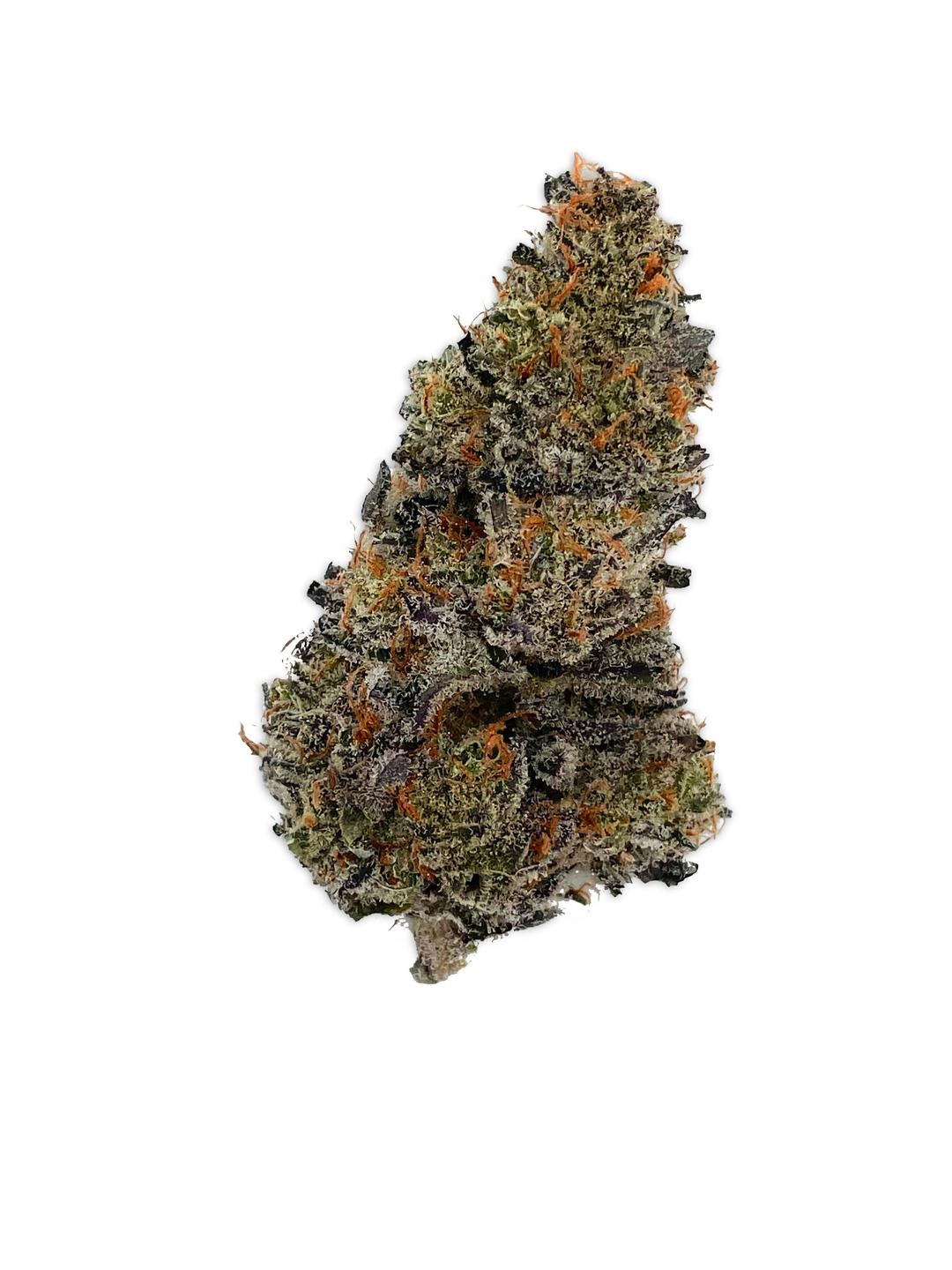 Darwin Flower