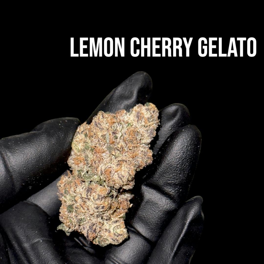 Lemon Cherry Gelato