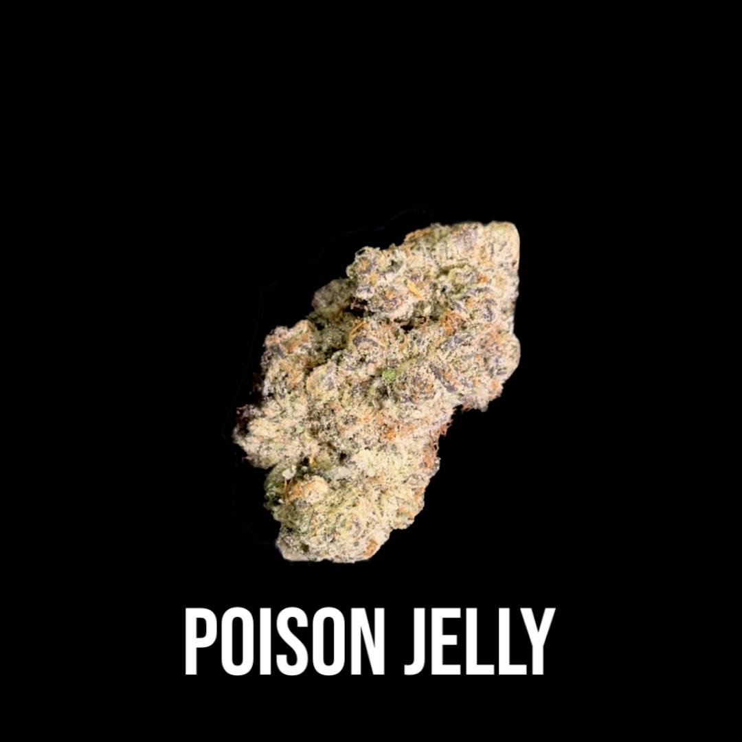 Poison Jelly