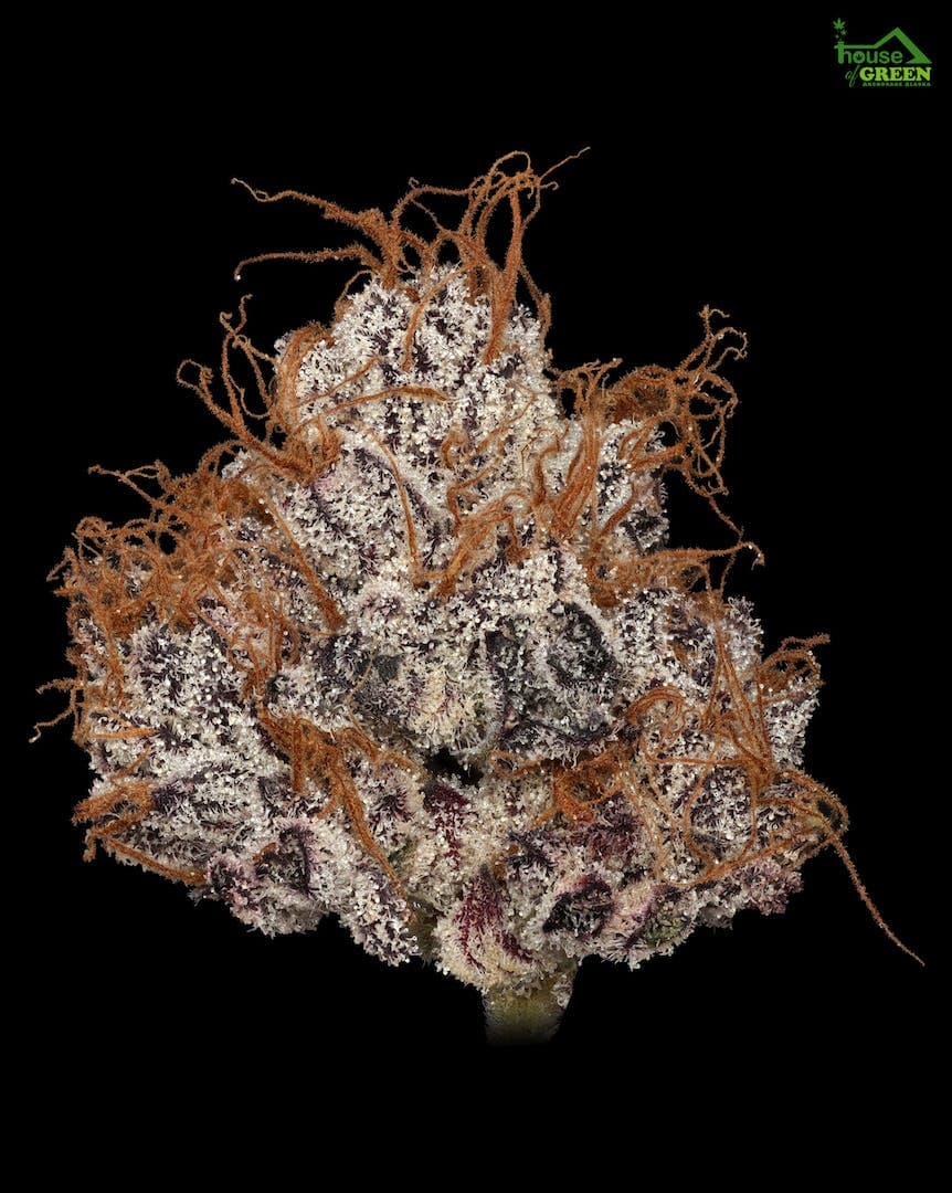 Wedding Crashers 1g Flower