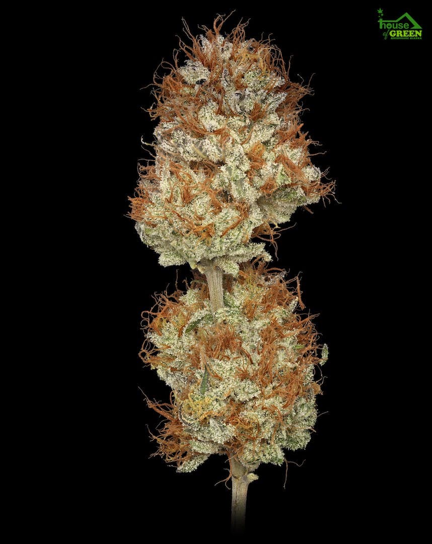 Willy's Wonca .5g - 2 Pack