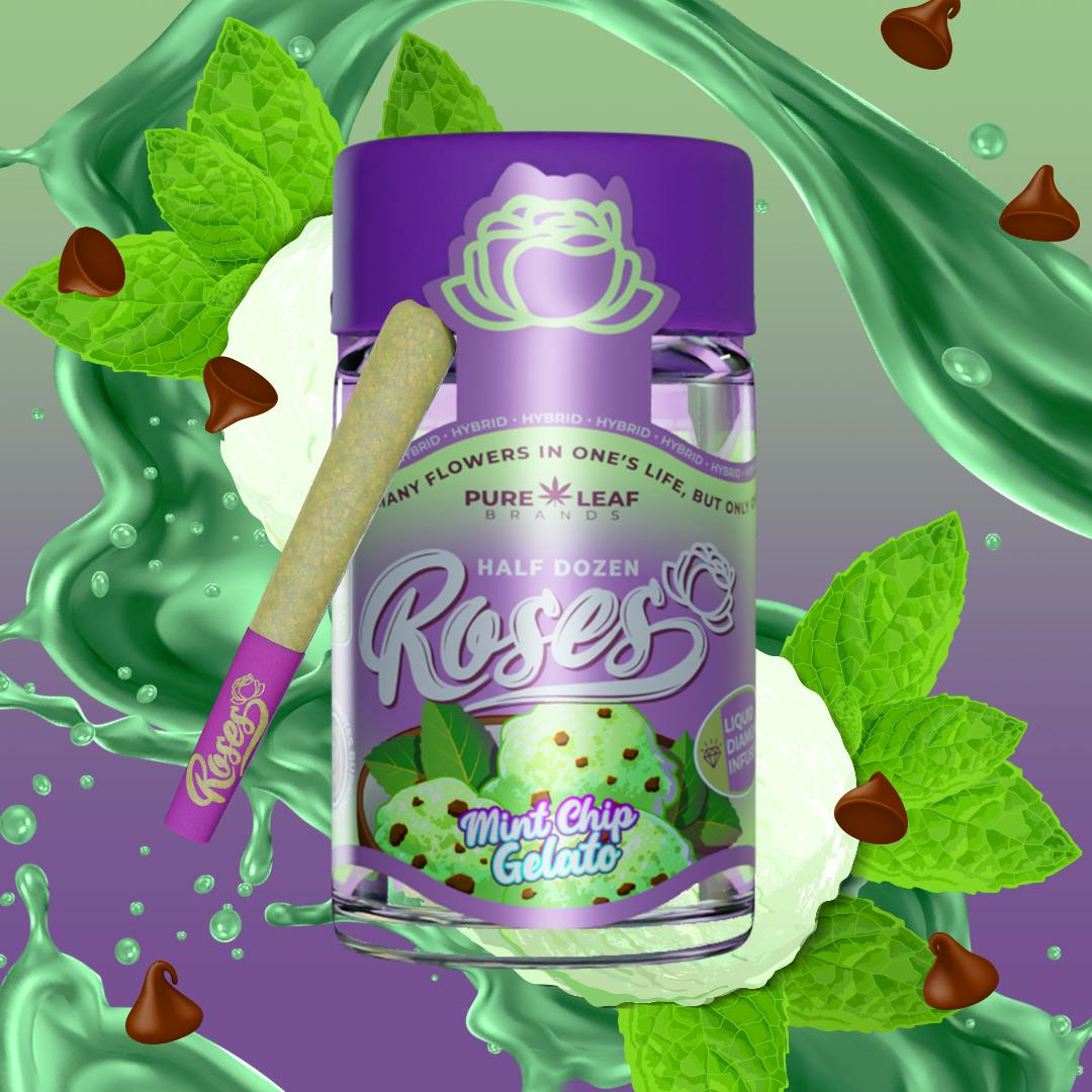 MINT CHIP GELATO Roses 6pk Hybrid | Liquid Diamond Infused | 3.6G (.6g ea)