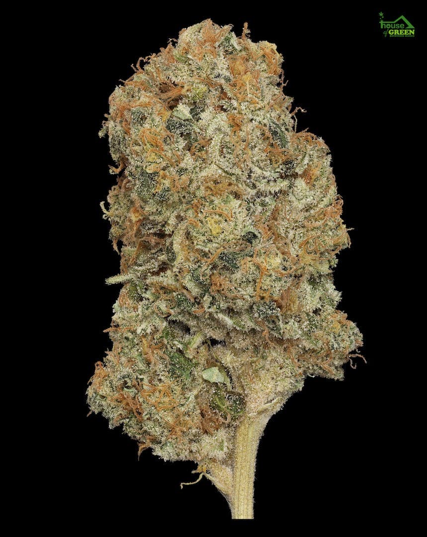 Opie Dopie .5g - 2 Pack