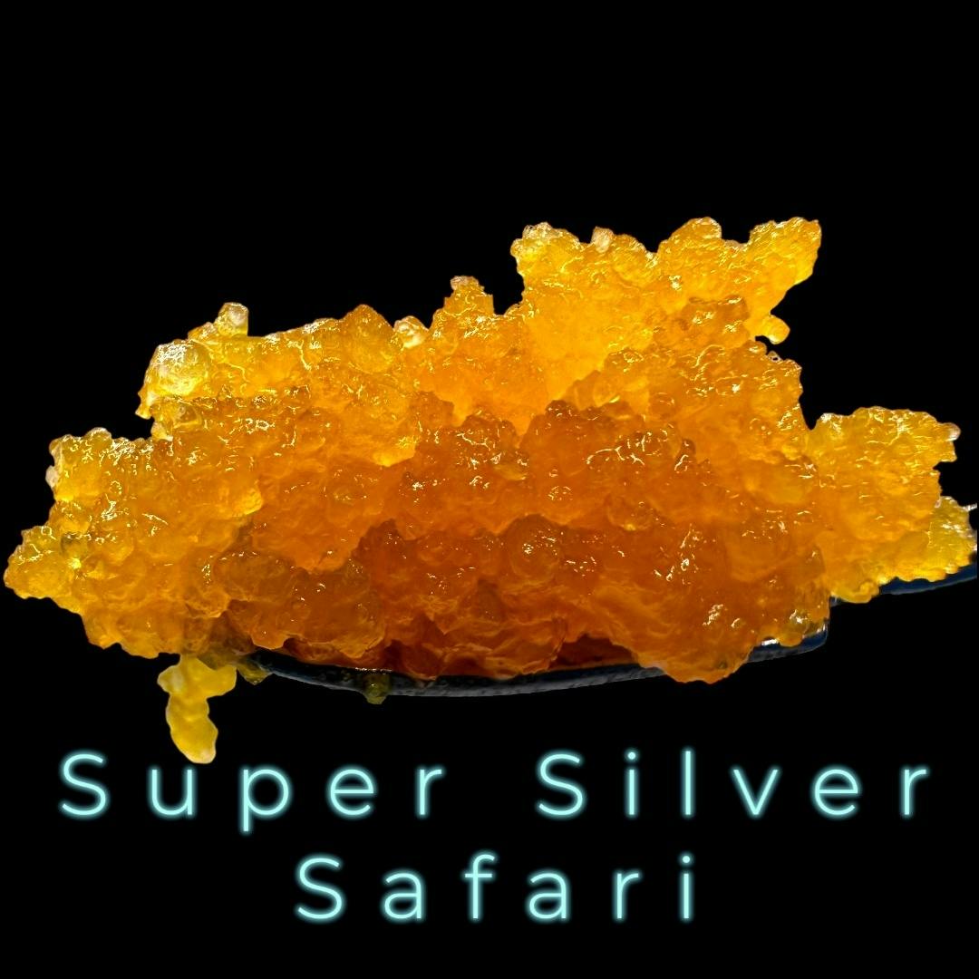 Super Silver Safari Live Wet Diamonds