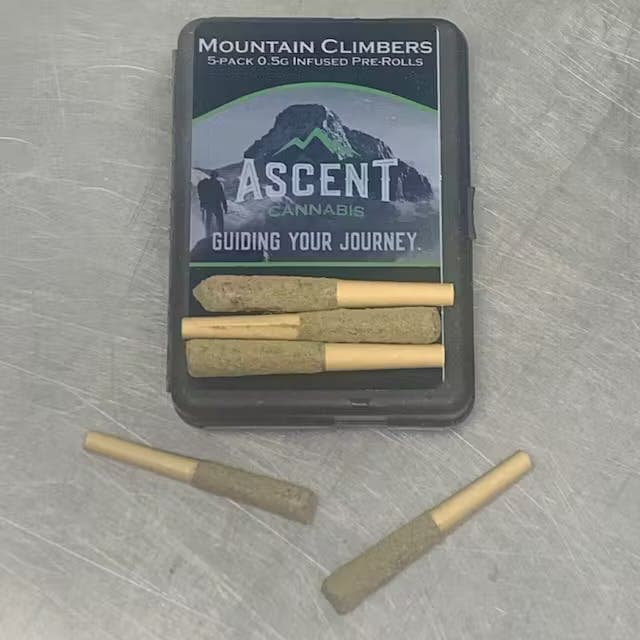 Ascent Cannabis - 5 .5G Infused Prerolls - Pure Apples