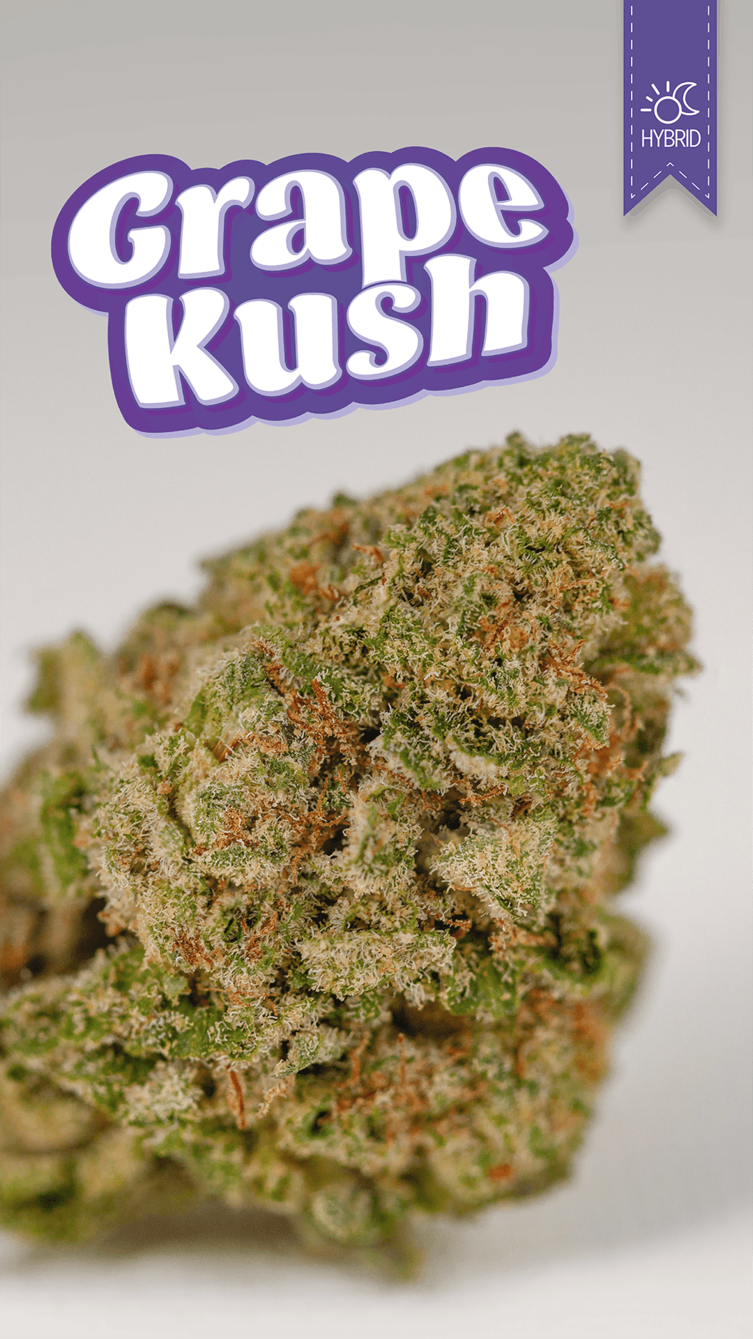 Grape Kush 7G Prepackaged Flower