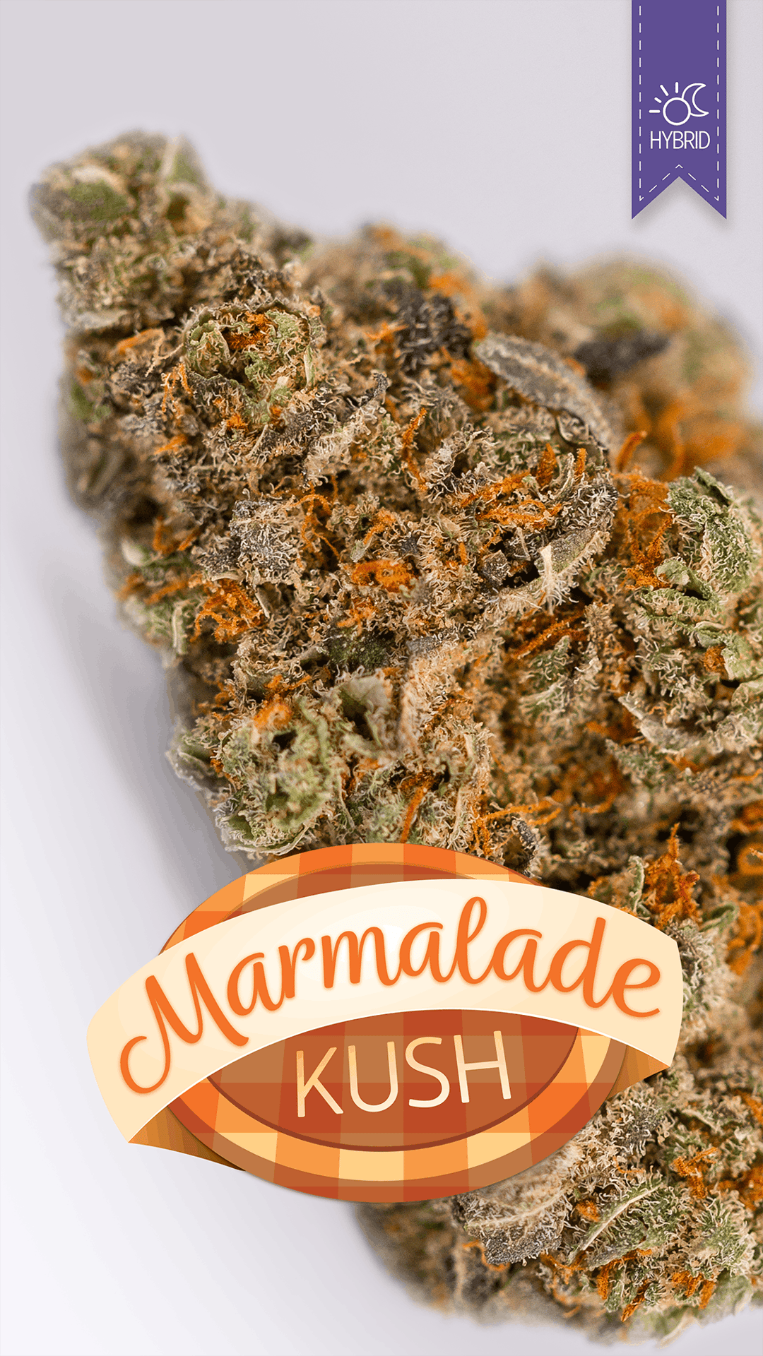 Marmalade Kush Popcorn Bud
