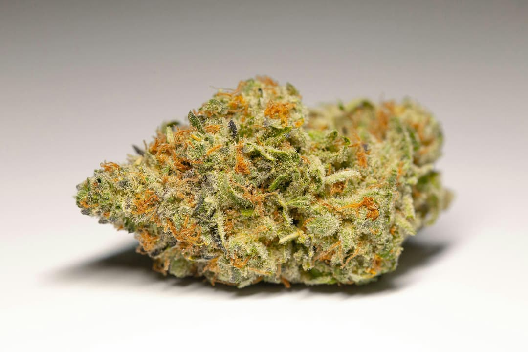 Mimosa 7G Prepackaged Flower