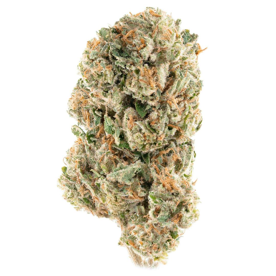 Gelato #41 14g