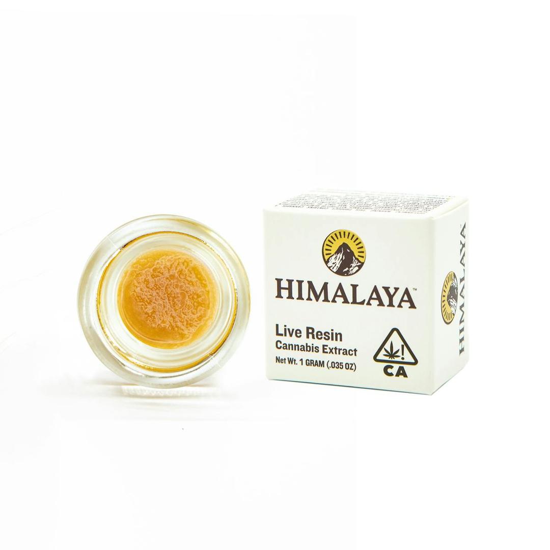 Cereal Milk (Live Resin Concentrate) - 1G