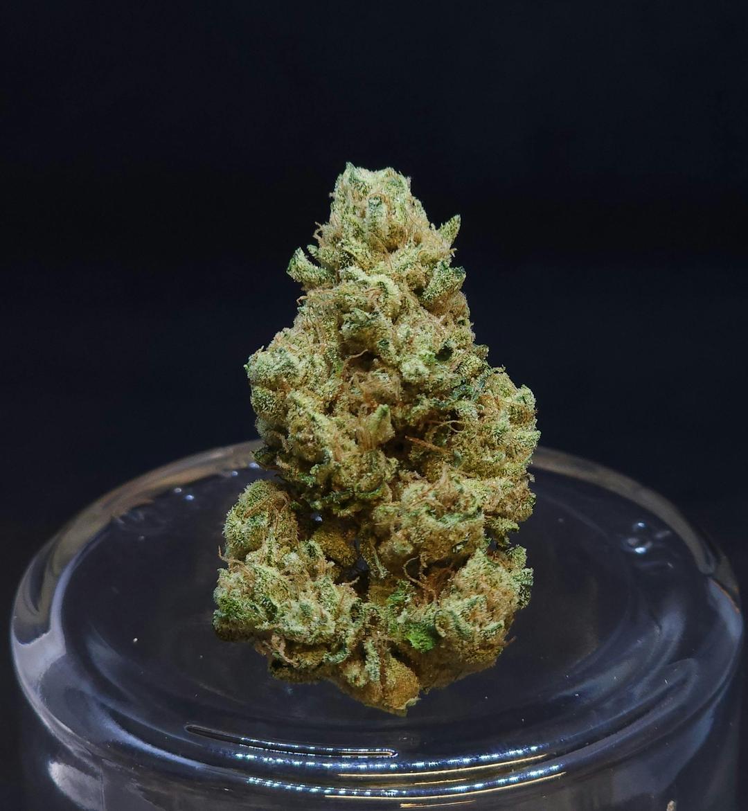Phatso 1.5g Fat Boy