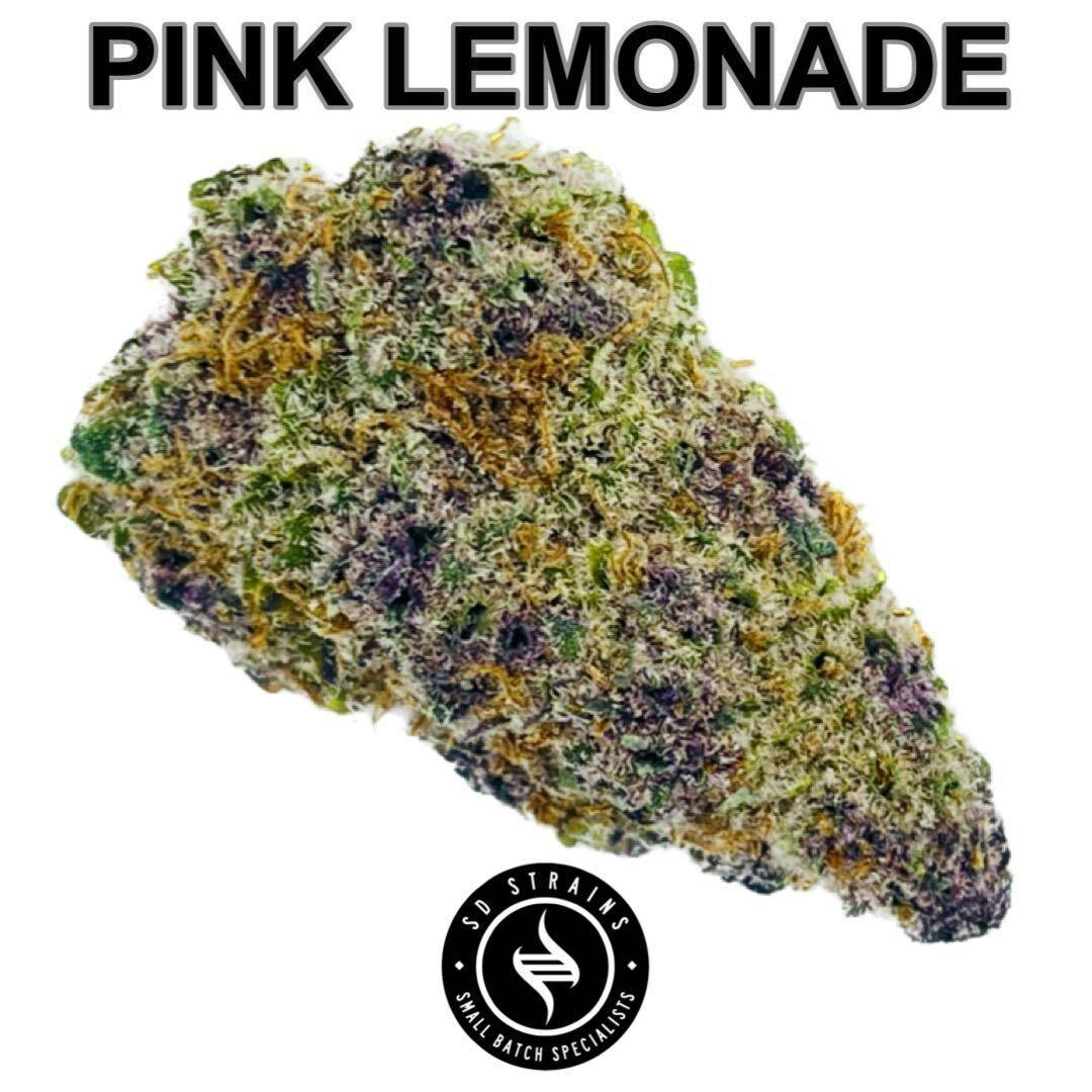 SD Strains Pink Lemonade 3.5g