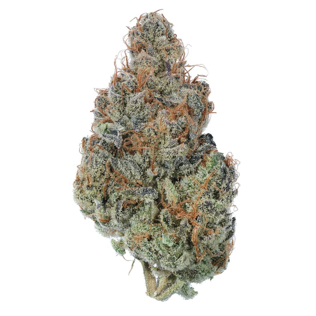 Peanut Butter Breath Flower