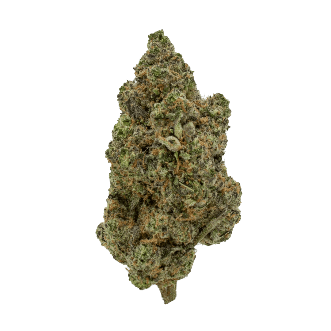 Shamrock Shake