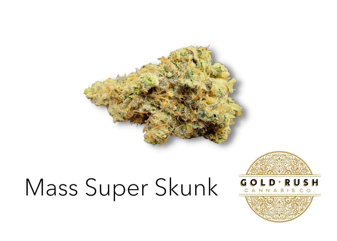 Gold Rush | MASS Super Skunk | 3.5g | Pre-Packaged Flower