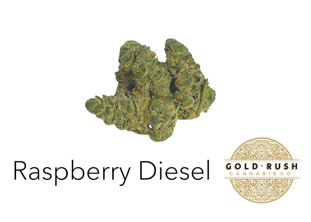 Gold Rush | Raspberry Diesel | 3.5 g | Pre-Packaged Flower