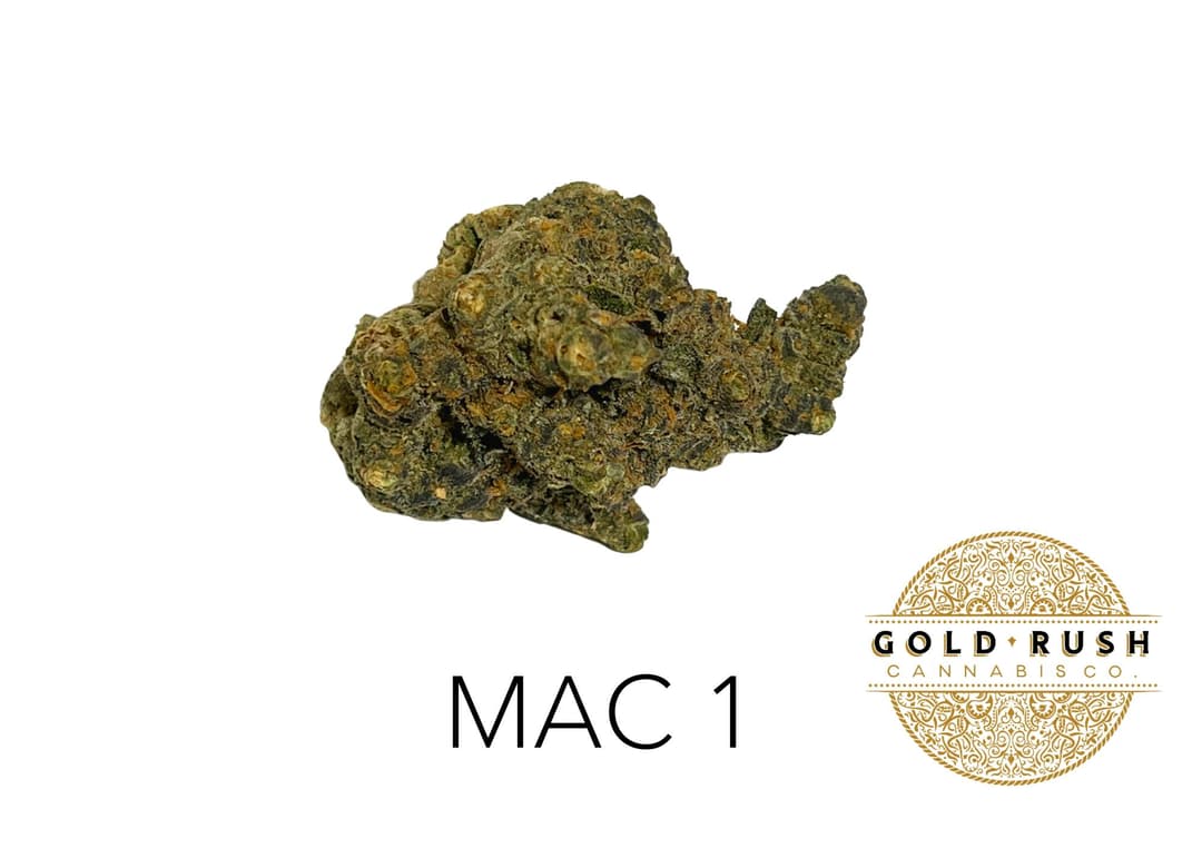 Gold Rush | Mac 1 | 3.5g | Pre-Packaged Flower