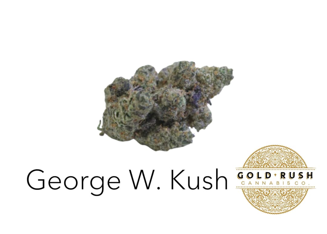 Gold Rush | George W. Kush | 3.5g | Pre-Packaged Flower