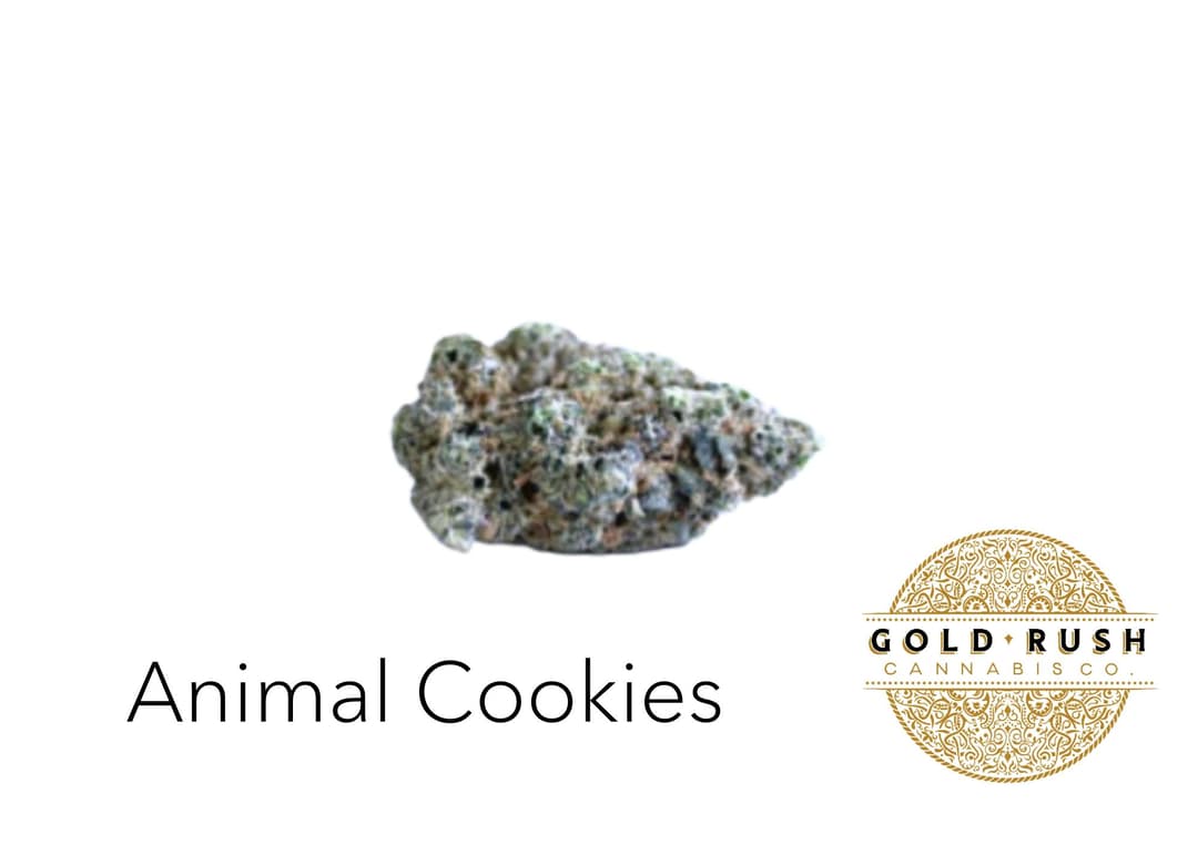 Gold Rush | Animal Cookies | 3.5g |Pre-Packaged Flower