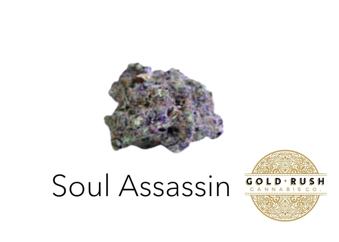 Gold Rush | Soul Assassin | 3.5g | Pre-Packaged Flower
