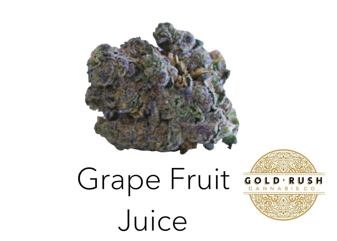 Gold Rush | Grapefruit Juice | 3.5g | Pre-Packaged Flower