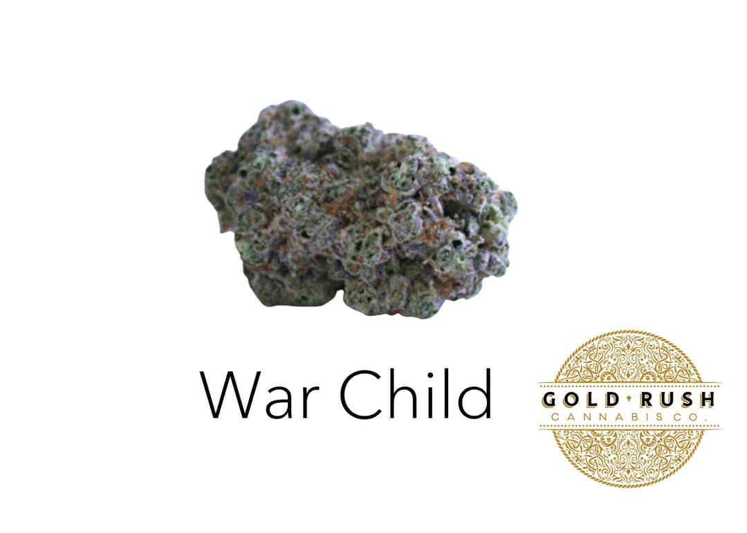 Gold Rush | War Child | 3.5g | Pre-Packaged Flower