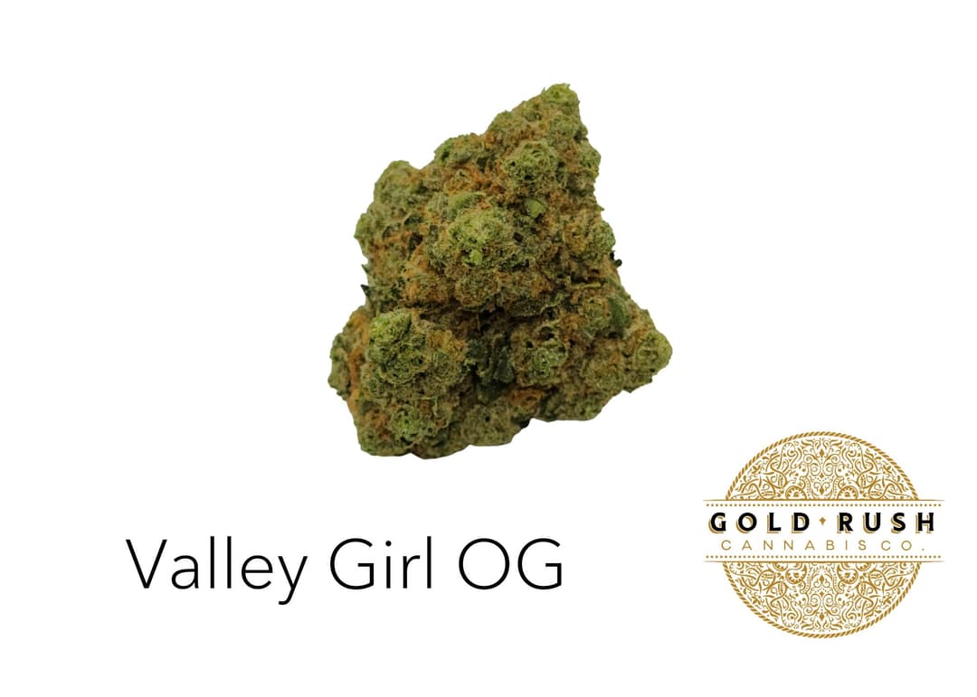 Gold Rush | Valley Girl OG | 3.5g | Pre-Packaged Flower