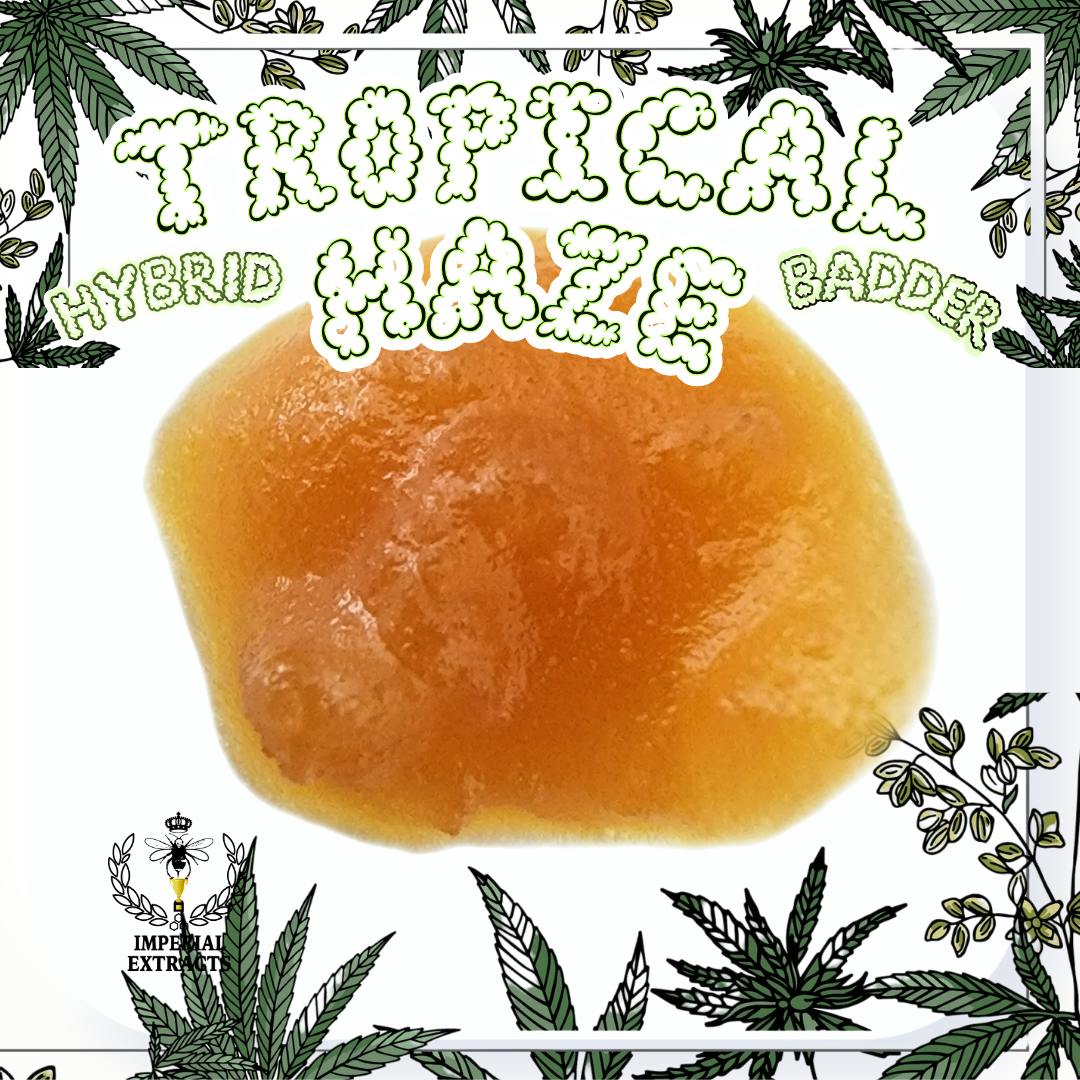 Tropical Haze 1.0 g (Hybrid) Badder