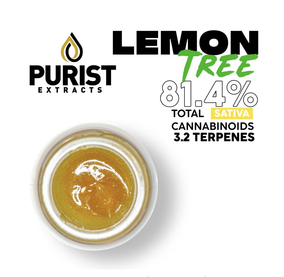 Lemon Tree