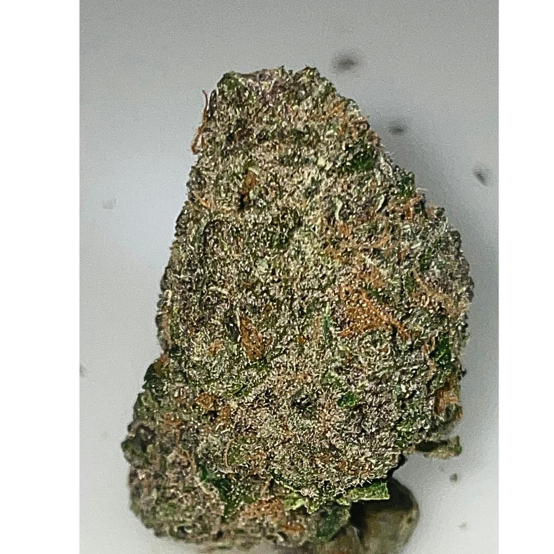 Cherry Fuel gold edition