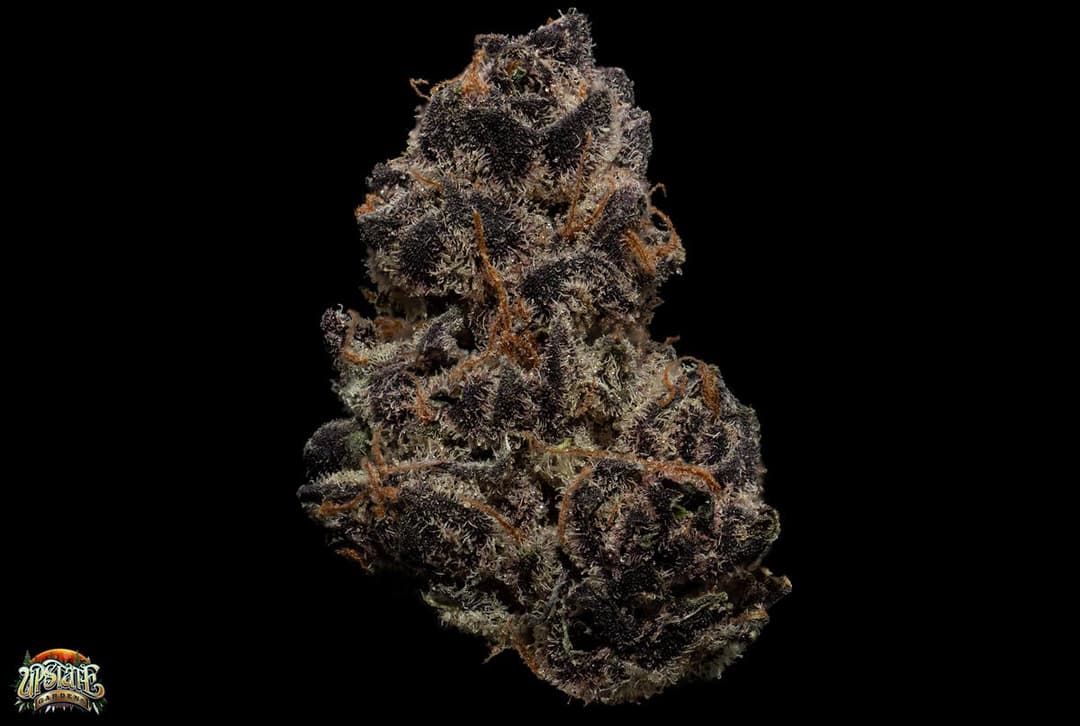 Flower: 1g - Tropicana Cookies
