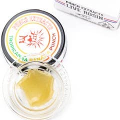 Punch - Live Rosin - Tropicanna Banana - Tier 4