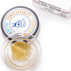 Punch - Live Rosin - Blueberry Pancakes - Tier 4