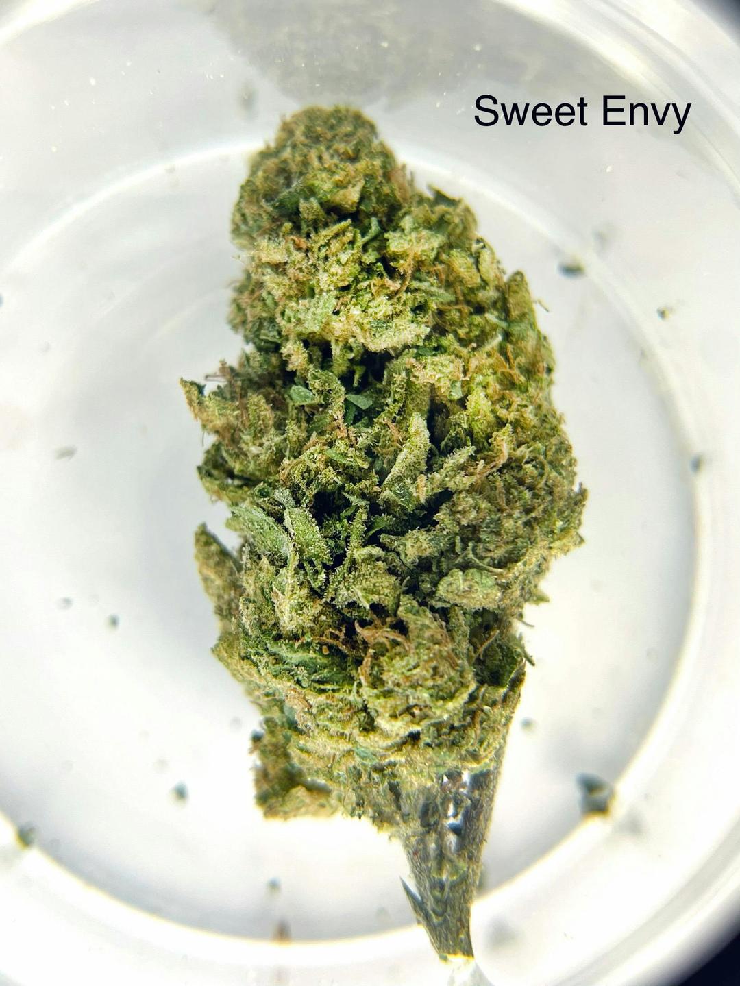 Sweet Envy 1/2Ounce/14Grams(29%THC,HYBRID)