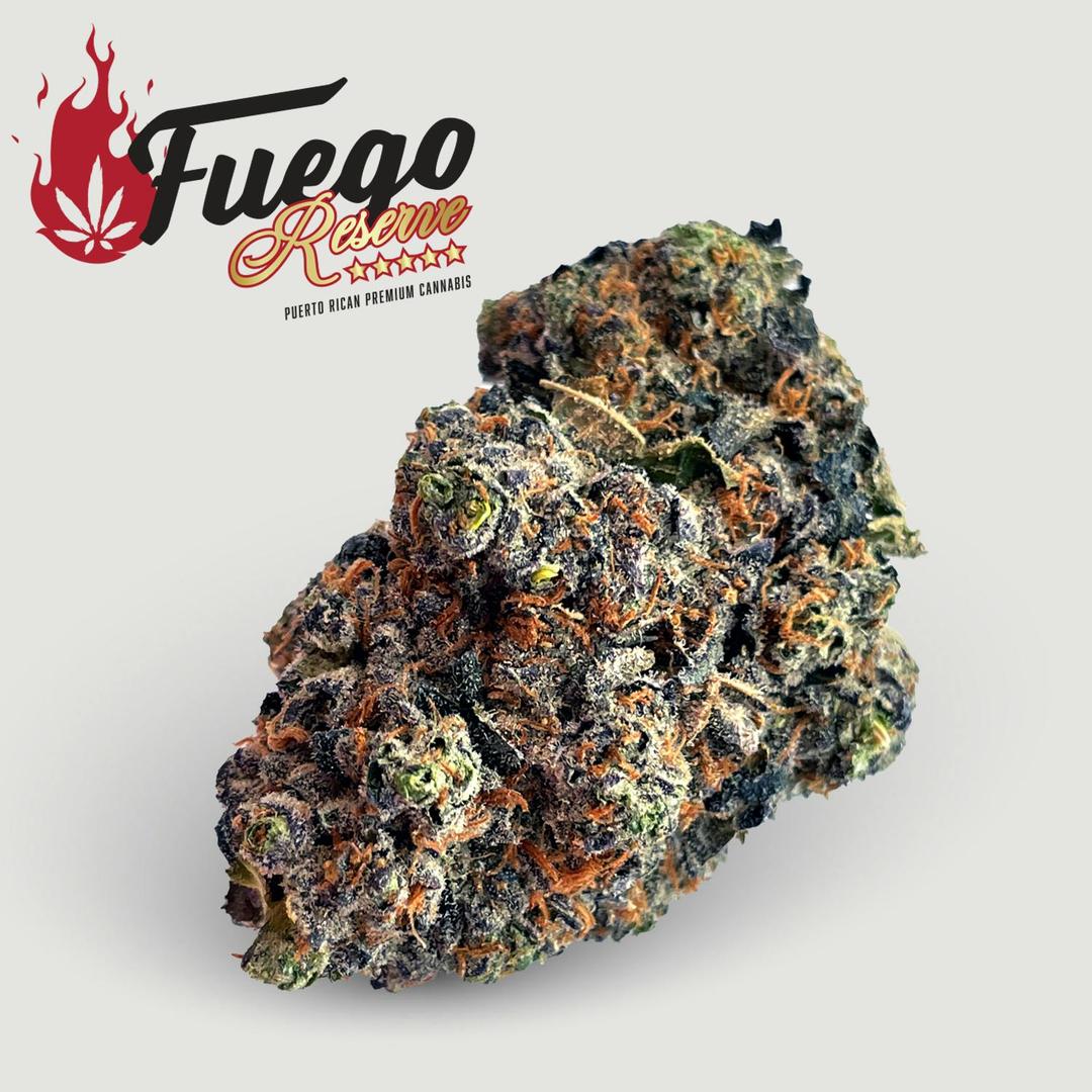 Bavarian Cream - Fuego