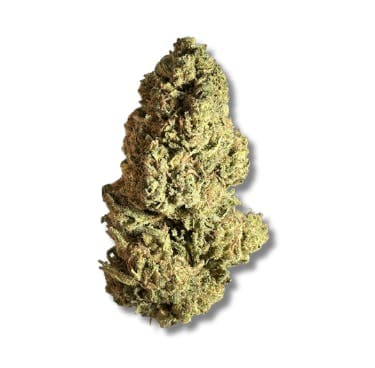Black - Blue Rhino (H) - 14g