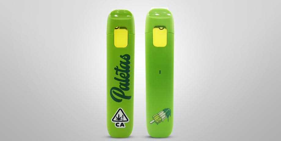 Paletas Apple Fritter Hybrid Disposable 1g