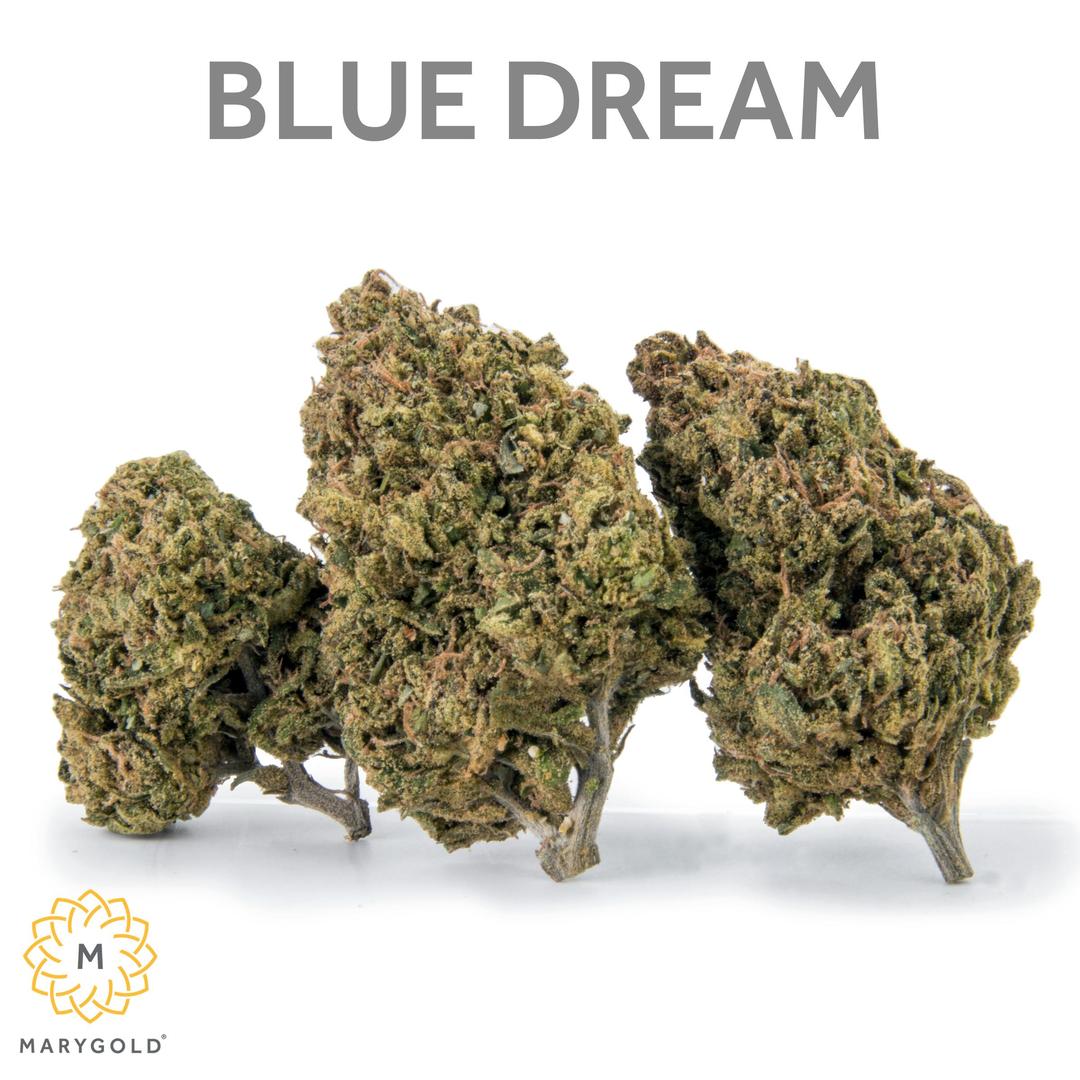 Blue Dream 14g (Sativa 28% THC)