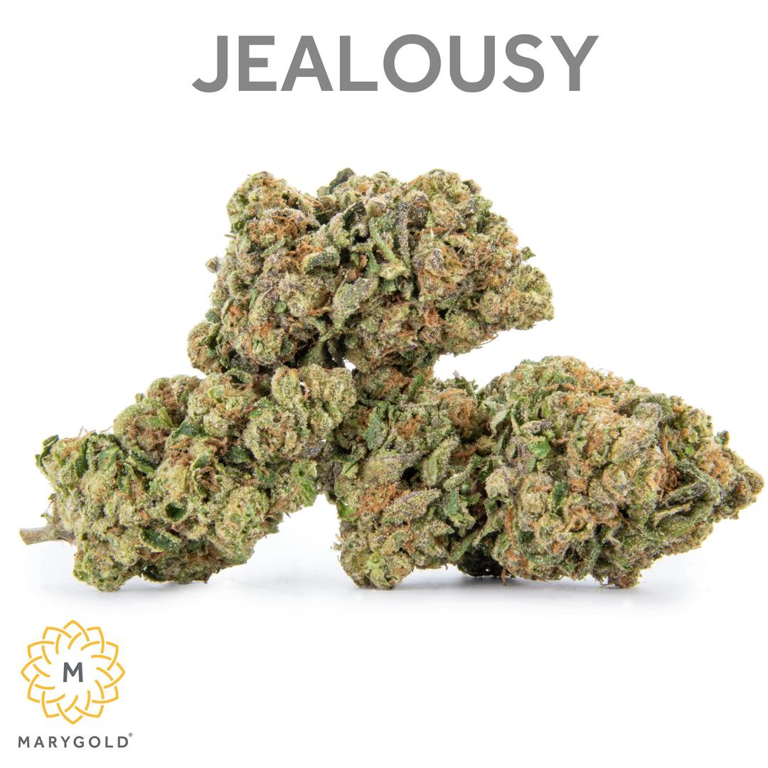 Jealousy 14g (30% THC Hybrid)