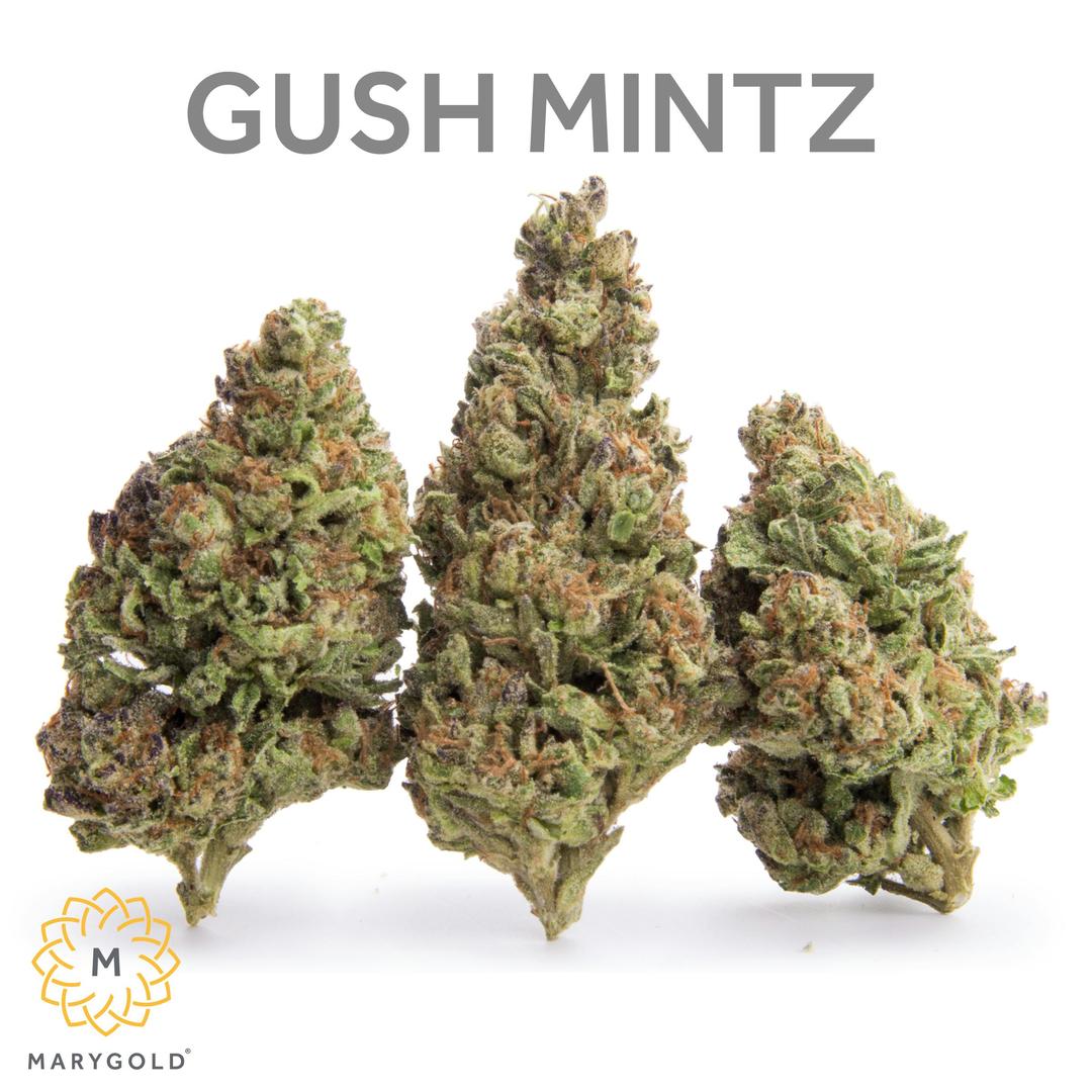 Gush Mintz 14g (Indica 28% THC)