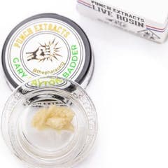Punch - Live Rosin - Gary Payton - Badder - Tier 3