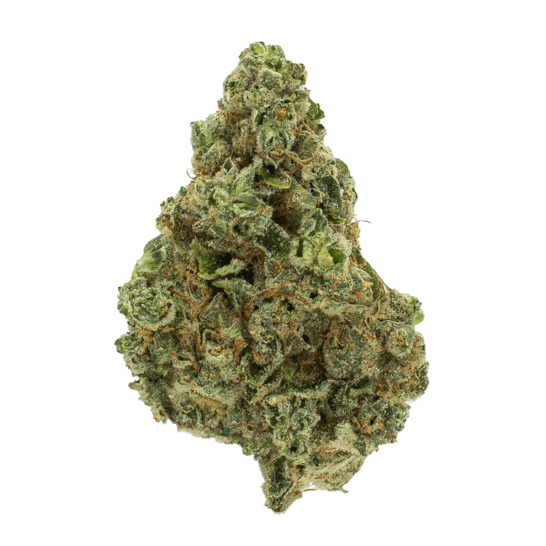 Gelato 33