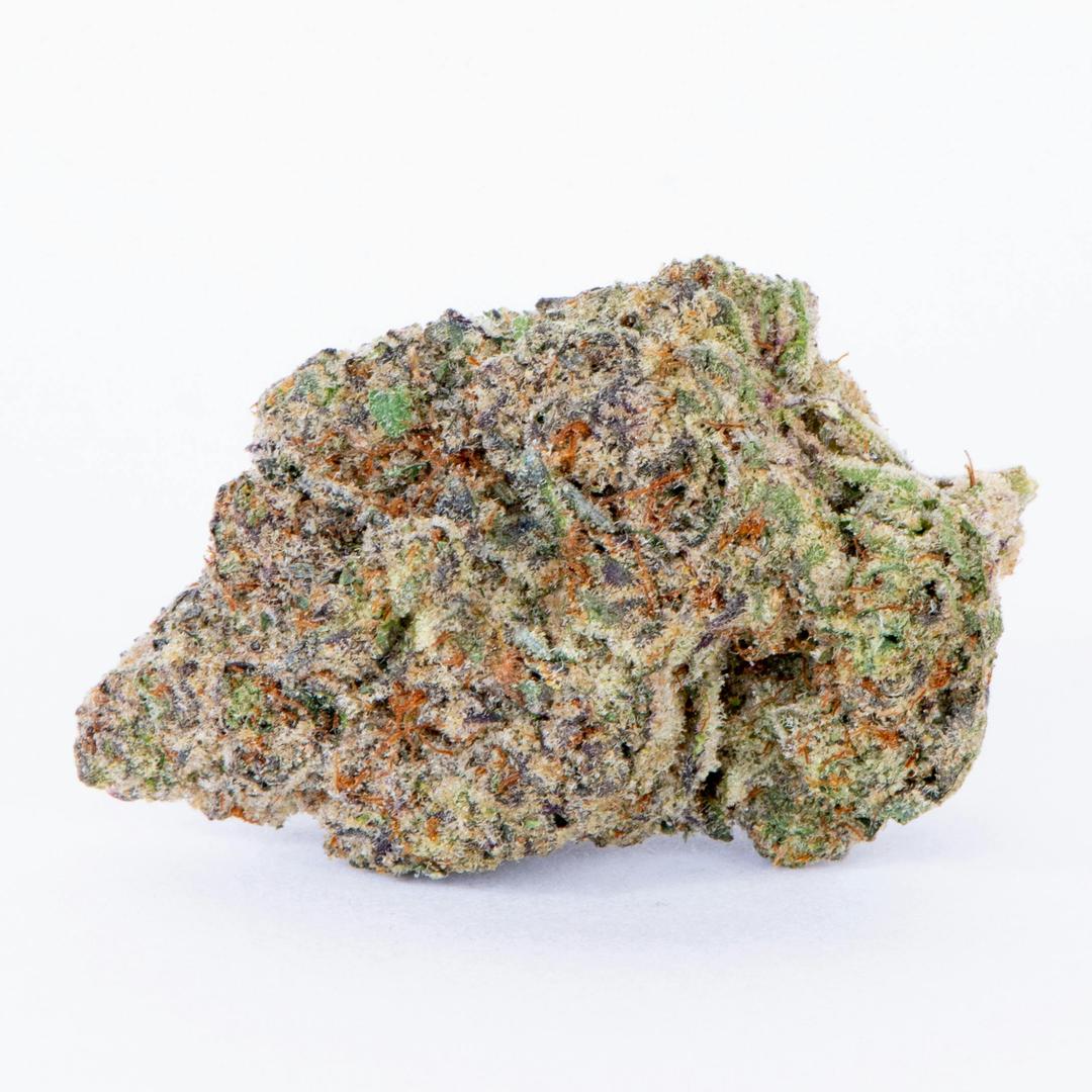 Grandiflora Guava | 3.5g Indoor