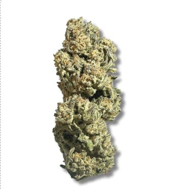 Exotix - Oreo Blizzard (H) - 14g